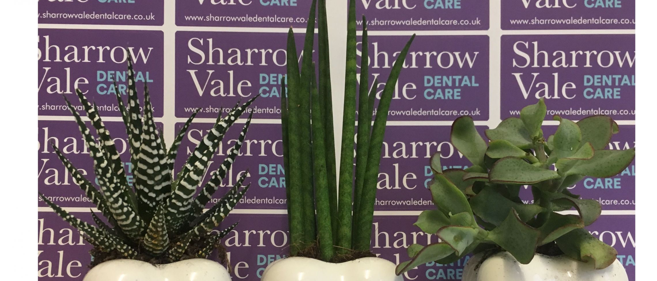 Sharrow Vale Dental Care