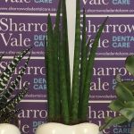 Sharrow Vale Dental Care